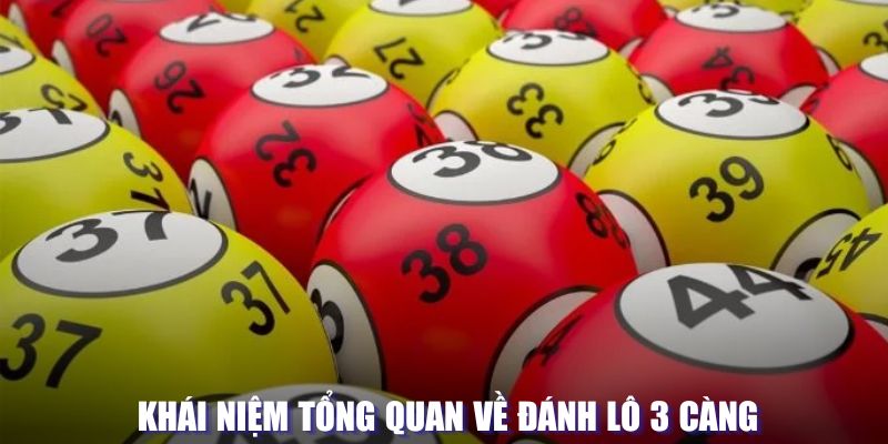 Khái niệm tổng quan lô 3 càng