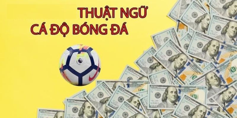 Một số thuật ngữ tiếng anh cơ bản mà người chơi nên biết